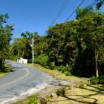 PHOTO-2025-11-22-12-00-49 11