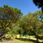 PHOTO-2025-11-22-12-00-49 16