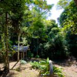 PHOTO-2025-11-22-12-00-49 17