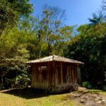 PHOTO-2025-11-22-12-00-50 2