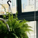 WhatsApp Image 2025-12-29 at 14.00.57