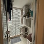 WhatsApp Image 2026-03-11 at 17.01.47 (5)